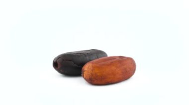 Bir kavrulmuş ve bir yeşil kuru kakao fasulye. Beyaz arka plan üzerinde izole pikap üzerinde döner. Yakın çekim. Makro.