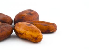 Dikey yarım çerçeve dört kurutulmuş kakao fasulye. Beyaz arka plan üzerinde izole pikap üzerinde yavaş yavaş döner. Yakın çekim. Makro. Kopya alanı.