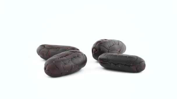 Dört Kavrulmuş Kakao Çekirdekleri Beyaz Arka Plan Üzerinde Izole Pikap — Stok video