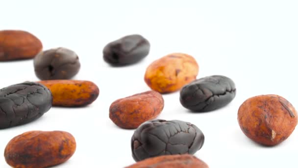 Cacao Van Geroosterde Gedroogde Vruchten Bonen Verspreid Draaien Draaitafel Geïsoleerd — Stockvideo