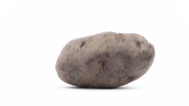 Één Grote Violet Aardappel Draaien Draaitafel Geïsoleerd Witte Achtergrond Close — Stockvideo