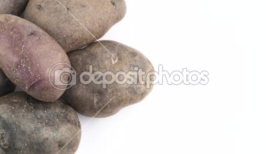 Dikey yarım çerçeve yığın mor patates yığını. Beyaz arka plan üzerinde izole pikap üzerinde yavaş yavaş döner. Yakın çekim. Makro. Kopya alanı.