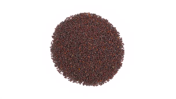 Top View Black Mustard Seeds Heap Rotating Turntable Isolated White — Stock Video