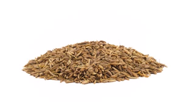 Caraway Seeds Heap Rotating Turntable Isolated White Background Close Macro — Stock Video