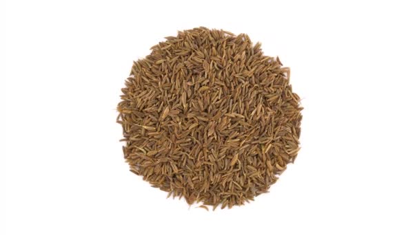 Top View Circle Shaped Caraway Seeds Heap Rotating Turntable Isolated — Stock Video
