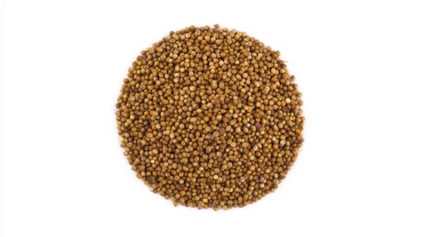 Circle Shaped Coriander Seeds Pile Top Left Corner Vertically Rotating — Stock Video