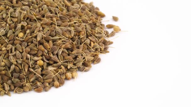 Half View Circle Shaped Anise Seeds Heap Rotating Turntable Isolated — Stock Video