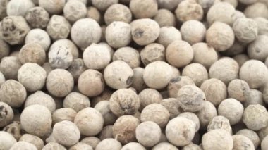 Makro beyaz biber peppercorns çekim. Turntable döner. Yakın çekim.