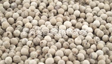 Beyaz biber peppercorns üstten görünüm. Döner. Yakın çekim. Makro.