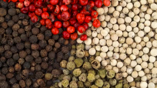 Top view from above of a heap of white, black, green and pink pepper peppercorns. Rotating. Close up. Macro. — Stock Video