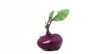 Bir alabaşlar kök yaprakları ile. Su damlaları. Turntable döner. Beyaz arka plan üzerinde izole. Yakın çekim. Makro.