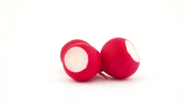 Three whole red radishes. Rotating on the turntable. Isolated on the white background. Close-up. Macro. — Stock Video