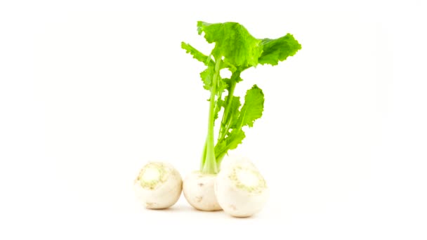 Several whole and cut white radish roots with leaves. Rotating on the turntable. Isolated on the white background. Close-up. Macro. — Stock Video