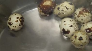 Bıldırcın yumurtası güveç tavada pişirme yığını. Tencerede yumurta ile kaynar su.