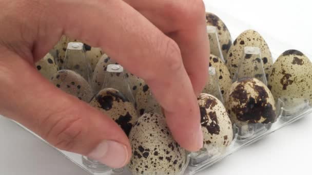 Мужские руки вынимают три перепелиных яйца один за другим из открытой прозрачной коробки с яйцами, полной яиц. Изолированный на белом фоне. Крупный план . — стоковое видео