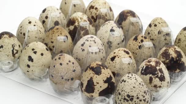 Caja de huevos transparente llena de huevos de codorniz está girando en el tocadiscos. Aislado sobre fondo blanco. Primer plano. Macro . — Vídeos de Stock