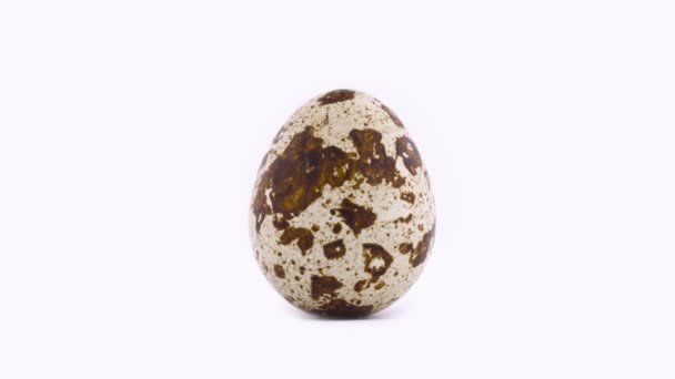Disparo macro de un huevo de codorniz girando en el tocadiscos, aislado en el fondo de color blanco. Primer plano . — Vídeo de stock