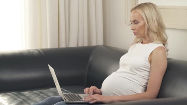 Una vista laterale di una bella bionda incinta seduta sul divano e con un computer portatile. Sta guardando lo schermo e digitando qualcosa — Video Stock