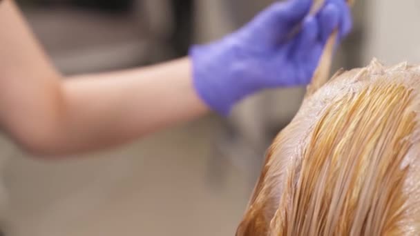 Um close-up de raízes de cabelo da loira se separou. Uma mão em uma luva de borracha azul aplica tintura de cabelo com uma escova de matiz . — Vídeo de Stock
