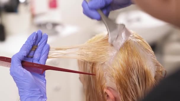 A mão de um cabeleireiro em luvas azuis mantém um fio fino de cabelo separado. Ela penteia-o, aplica alguma tintura de cabelo em raízes de cabelo com uma escova de matiz, pega um fio fino e aplica a tintura novamente. . — Vídeo de Stock