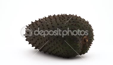 Bir bütün soursop meyve. Turntable döner. Beyaz arka plan üzerinde izole. Yakın çekim. Makro.