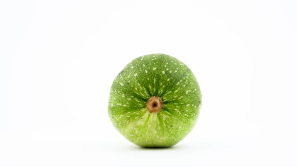 One Ball Zucchini Rotating Turntable Isolated White Background Close Macro — Stock Video