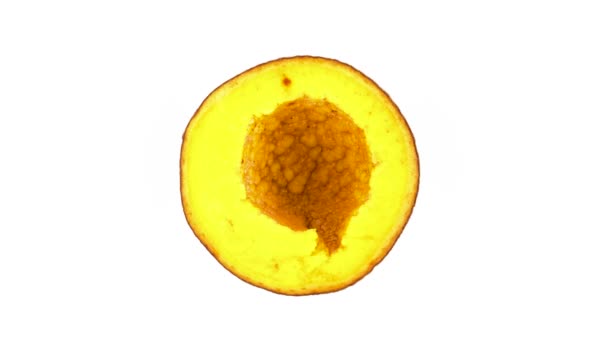 Mammea Americana Elma Meyve Bölümü Kesim Çapraz Üstten Görünüm Yukarıdan — Stok video