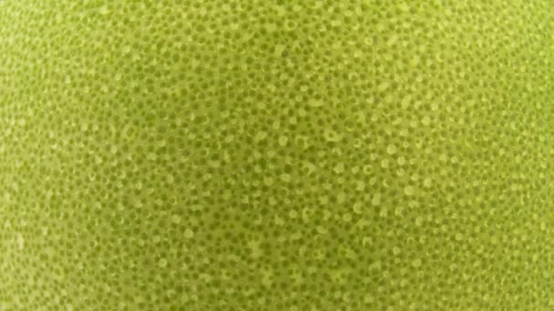 Pompelmus Pomelo Frukt Hud Makrofotografering Roterande Vattendroppar Närbild — Stockvideo