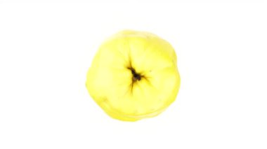 Sarı ayva meyve üstten görünüm yukarıdan. Turntable döner. Siyah arka plan üzerine izole. Yakın çekim. Makro.