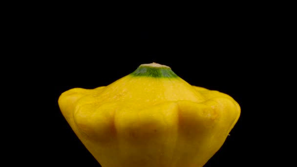 One Whole Yellow Patisson Squash Slowly Rotating Turntable Isolated Black — Stock Video