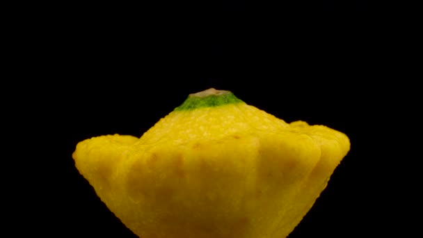 Una Calabaza Pattypan Amarillo Con Gotas Agua Girando Tocadiscos Aislado — Vídeos de Stock