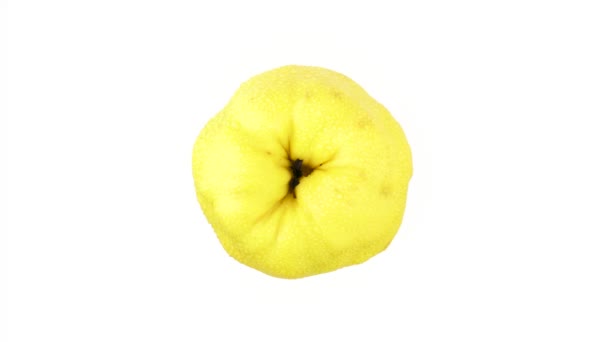 Top View Yellow Quince Fruit Water Drops Rotating Isolated Black — Stock Video