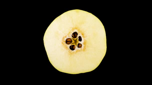 Top View Yellow Quince Fruit Cross Section Cut Rotating Isolated — Stock Video