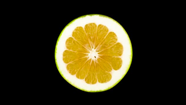Vista Superior Desde Arriba Sección Transversal Fruta Verde Oroblanca Cortada — Vídeos de Stock