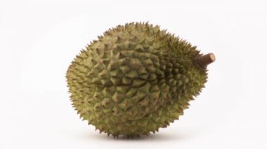 Pikap üzerinde dönen bir bütün durian meyvesi. Beyaz arka plan üzerinde izole. Yakın çekim. Makro.