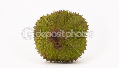 Bir olgun durian meyve su ile pikap üzerinde dönen bırakır. Beyaz arka plan üzerinde izole. Yakın çekim. Makro.