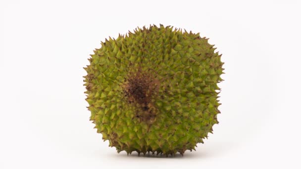 Uma Fruta Duriana Madura Com Gotas Água Girando Gira Discos — Vídeo de Stock