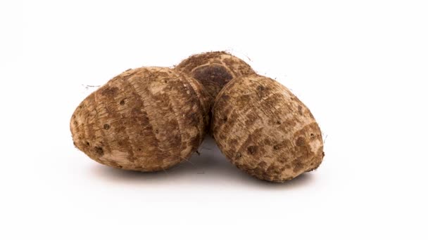 Three Whole Taro Corms Rotating Turntable Isolated White Background Close — Stock Video