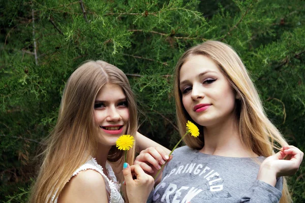 Två Söta Blonda Flickvänner Med Maskrosor Parken — Stockfoto