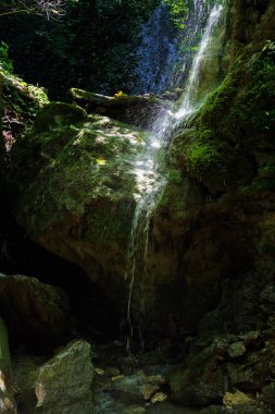 Bir dağ nehir Kuzey Kafkasya dağlarında bir küçük pitoresk şelale.