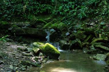 Kayaların arasındaki küçük bir dere Kuzey Kafkasya dağlarında yosun kaplı.