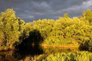 Bir güzel küçük orman göl güneşli yaz akşam önce bir fırtına.