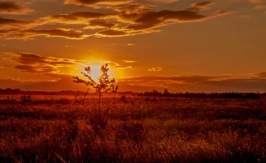 Bozkır ve geçen uzak arabada bulutların arasından güneş.