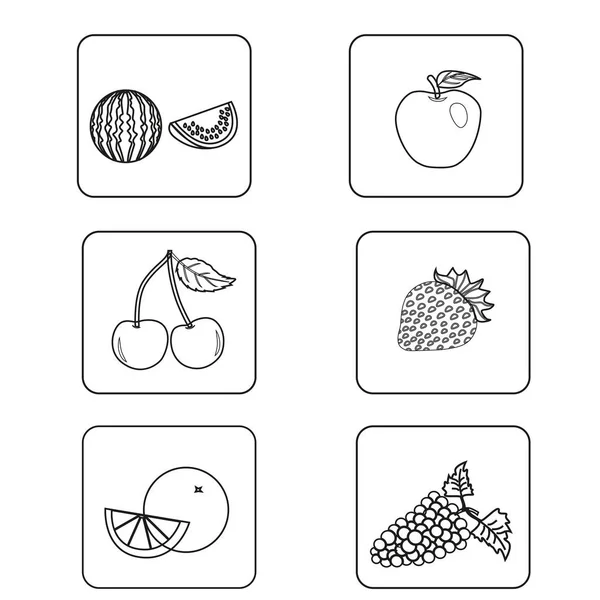 Bir dizi basit siyah beyaz simgeler şablonu farklı meyve.