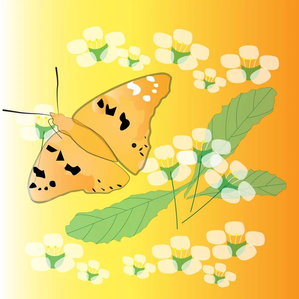 El tema de la primavera. Una mariposa revolotea entre las flores . — Vector de stock