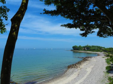 Baltık Denizi sahil plaj ve bir ağaç tarafından çevrili tekneler için görüntüleyin