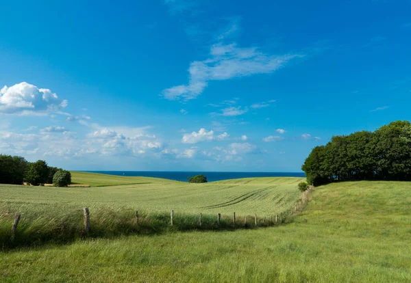 Ländliche Landschaft Mit Feld Und Weide Und Der Ostseeküste Hintergrund — Stockfoto