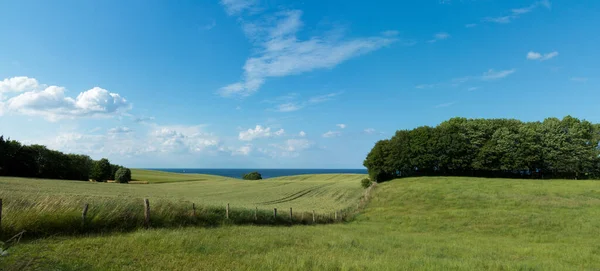 Landschaftspanorama Mit Feld Und Weide Und Der Ostseeküste Hintergrund — Stockfoto
