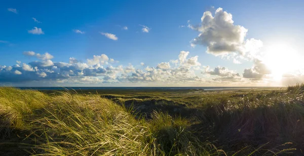 Panorama Landskap Med Utsikt Från Sanddynerna Till Havet Solnedgången Den — Stockfoto