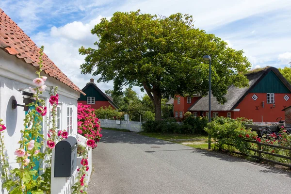 Blooming Flowers Beautiful Old Houses Village Nordby Island Fano Denmark — Stock Photo, Image